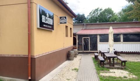 Komerčná budova / pub na PRENÁJOM - Košice - Sever