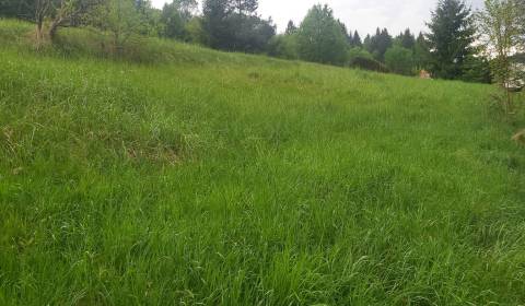 Predaj:Stavebný pozemok na developerský projekt v meste Turzovka(197-P
