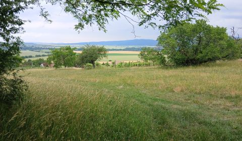 Na predaj záhrada 1413 m2, obec Pečenice, okres Levice