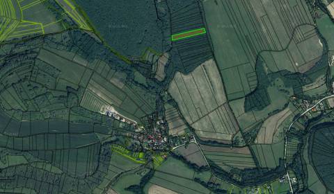 POZEMOK S BUKOVÝM LESOM, KOŠARISKÁ