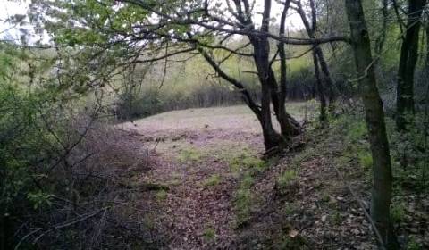 POZEMOK, PUKANEC