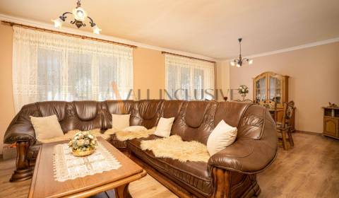 NA PREDAJ 4 IZBOVÝ POSCHODOVÝ RODINNÝ DOM, OKOČ