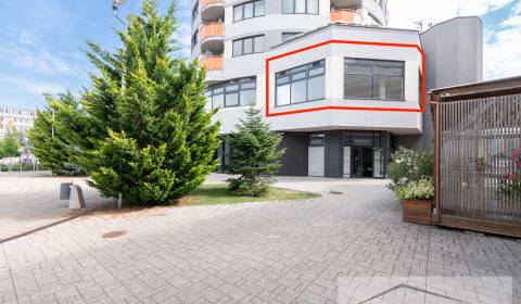 Nebytový priestor, 72 m², Mierové námestie - Galanta. Bez provízie RK