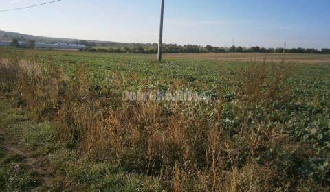 Pozemok vhodný pre výstavbu rodinných domov o výmere 10 ha v obci Ruma