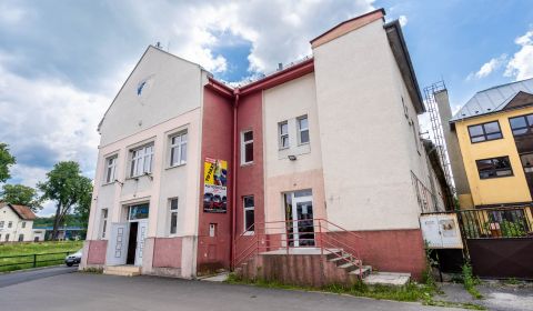 VEĽKORYSÝ MULTIFUNKČNÝ PRIESTOR S GALÉRIOU, 815 m², CENTRUM BREZNA