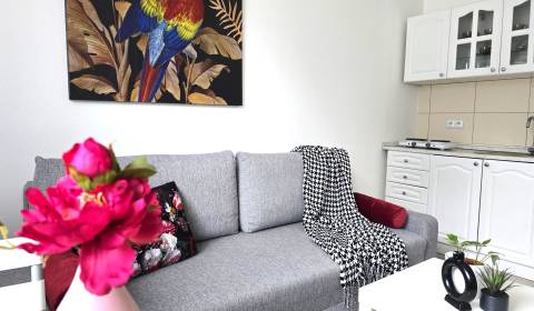 REZERVOVANÉ !!! Šikovná garsónka na Vilovej ul.