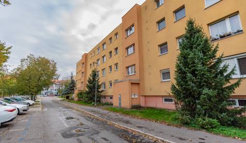 Krásny 4-izbový byt s balkónom, 85 m², Radničné nám., Dunajská Streda