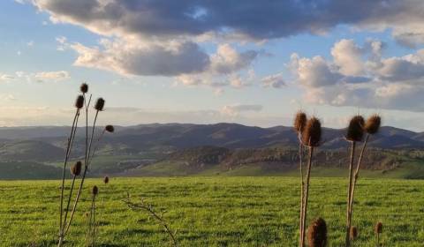 Čukalovce – 3.025 m2 POZEMKY v pozemkových úpravách