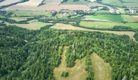 Polomka - 12.319 m2 ORNÁ PÔDA v pozemkových úpravách