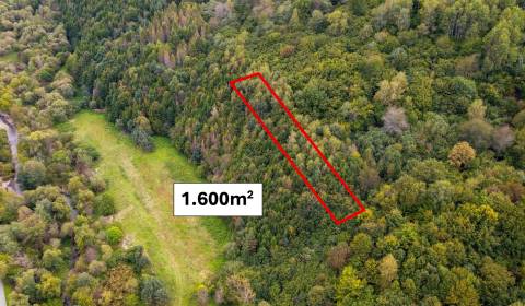 Dúbrava - 1600 m2 LES v podiele 1/1