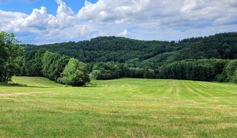 Litava – 16.405 m2 ORNÁ PÔDA a LES v pozemkových úpravách
