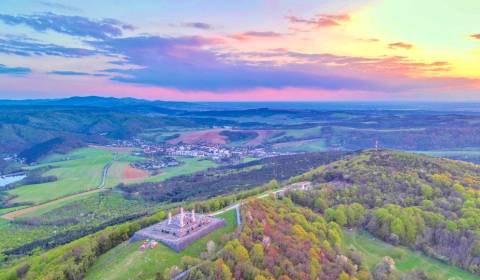 Brezová pod Bradlom - 6.350 m2 ORNÁ PÔDA a LES – PREDAJ