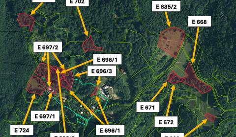 Prochot (ZH) - 6.069 m2 LESNÉ POZEMKY v pozemkových úpravách