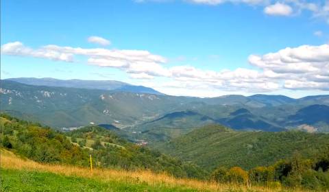 Filier – 9.746 m2 LESNÉ POZEMKY v pozemkových úpravách