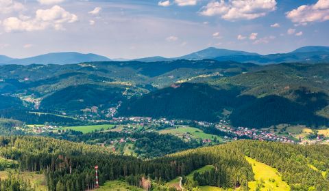 Korňa – 15.100 m2 LES NA PREDAJ