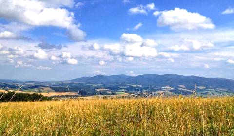 Pušovce – 16.000 m2 ORNÁ PÔDA a LES pri Prešove - Na predaj