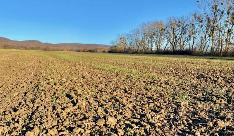 Zbudza - 8.656 m2 ORNÁ PÔDA podiel 1/1 – Predaj