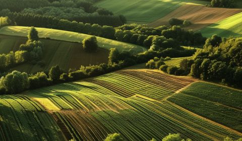 Predaj Urbár lesné pozemky v podieloch 30 665 m2 kataster obce Turany