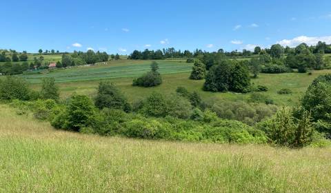 ViNi real - Pozemok  DETVA, časť Skliarovo, 8548 m2