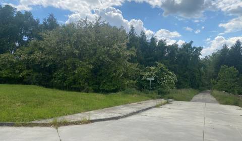 ViNi real - STUPAVA - Stavebný pozemok 3949 m2  