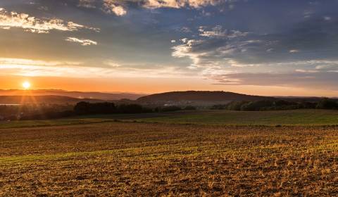 Boťany – 56 m2 INVESTIČNÁ orná pôda – NA PREDAJ
