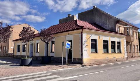 Predaj: Budova pre obchod a služby v centre Žiliny (MO)
