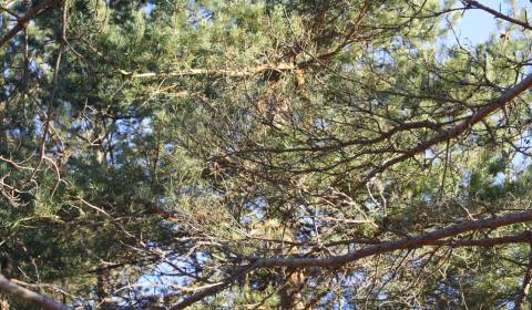 Spišská Teplica  (Poprad) - podiel v spoločnej nehnuteľnosti 