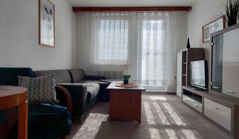 Pohodlný 2izb,klíma,balkón,dotyk retra, blízko petrž.stanica, od 1.9.