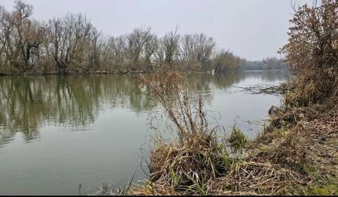 Slnečný pozemok pri vode Malý Dunaj, Nová Dedinka, okres Senec