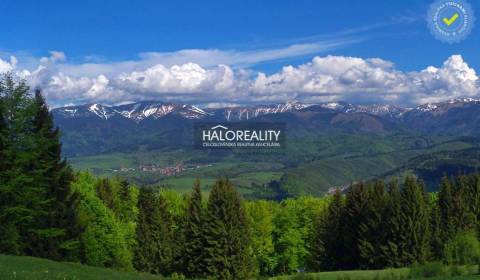 Predaj, pozemok pre rodinný dom   10535 m2 Jasenie -...