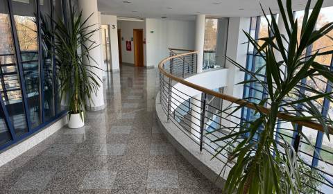 PRENÁJOM reprezentatívnych administratívnych priestorov, Nitra-centrum