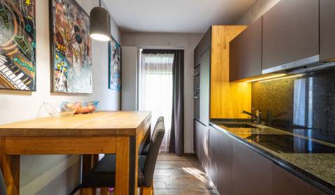 MODERNÝ VEĽKOMETRÁŽNY BYT, Svätoplukova, Staré mesto