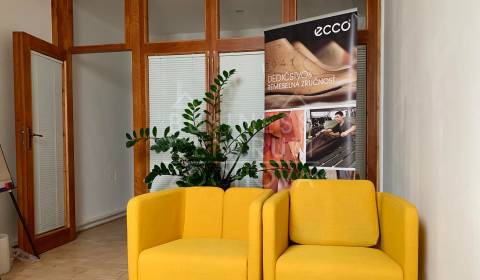 Prenájom kancelárií v centre, Zochova ul., 117,5 m2 
