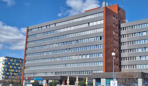 Ponúka na prenájom administratívne priestory