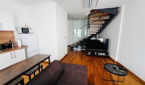 Kancelárie s terasou, 66 m2+ terasa 35 m2, Staré Mesto, Ventúrska ul.