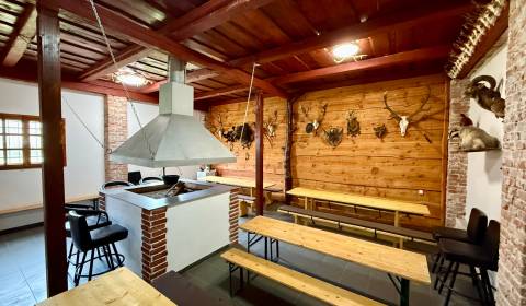 DOM NA SAMOTE PRI LESE, POZEMOK 3.160m2, CEROVÁ