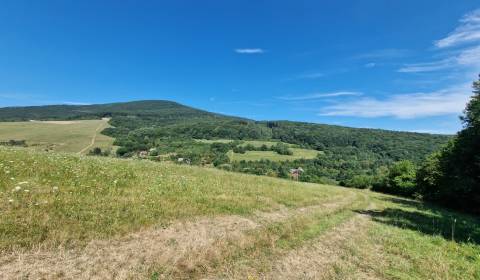 *NA PREDAJ* pozemok Nová Bošáca