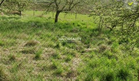 Predaj, pozemok   2016 m2 Lednické Rovne