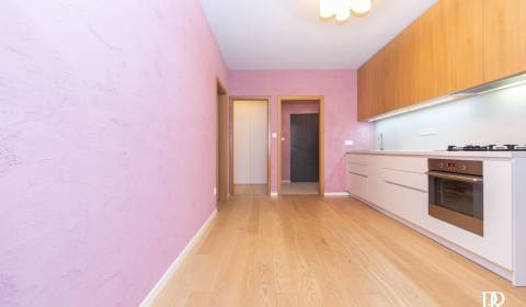 KRÁSNY  BYT S TERASOU, PARKOVACÍM STÁTÍM,ALŽB.DVOR, MILOSLAVOV