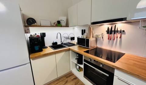 Čistý byt - Prenájom 1 izb. by s balkónom Sídlisko JUH V NZ