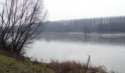 GABČÍVOVO - NA PREDAJ rekreačný a lesný pozemok v panenskej prírode pr