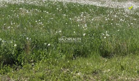 Predaj, pozemok pre rodinný dom 800 m2 Andovce