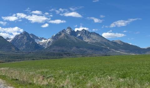 PREDAJ: Investičná príležitosť pozemok; Nová Lesná; 8044 m2