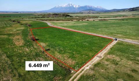Podhorany – 6.449 m2 ORNÁ PÔDA v podiele 1/1 – Predaj