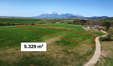 Podhorany – 5.329 m2 ORNÁ PÔDA v podiele 1/1 – Predaj