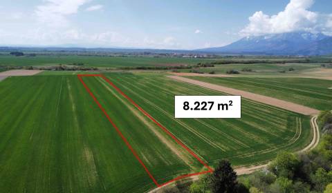 Podhorany – 8.227 m2 ORNÁ PÔDA v podiele 1/1 – Predaj