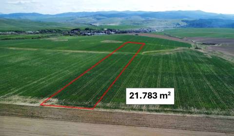 Podhorany – 21.783 m2 ORNÁ PÔDA v podiele 1/1 – Predaj