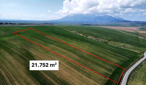 Podhorany – 21.752 m2 ORNÁ PÔDA v podiele 1/1 – Predaj