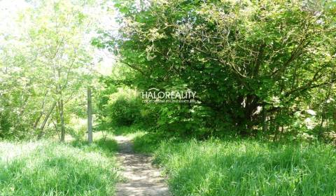 Predaj, pozemok   5834 m2 Trnava, zaujímavý investič...