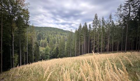 Rožňová, Bošianska Neporadza – 342 m2 ORNÁ PÔDA a LES – PREDAJ